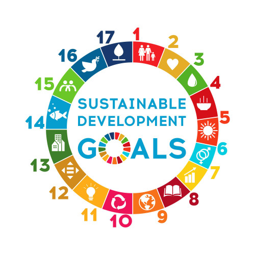 India’s Progress on SDG: How 7-Year Action Plan Can Help