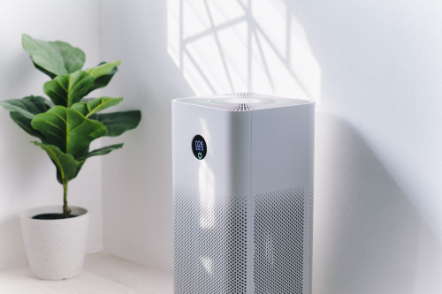 Clearing Smog Post Diwali: Air Purifier Market Sees Seasonal Surge