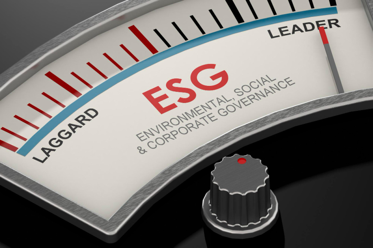 The West's Monopoly On ESG Ratings And Why India Needs A Swadeshi Lens