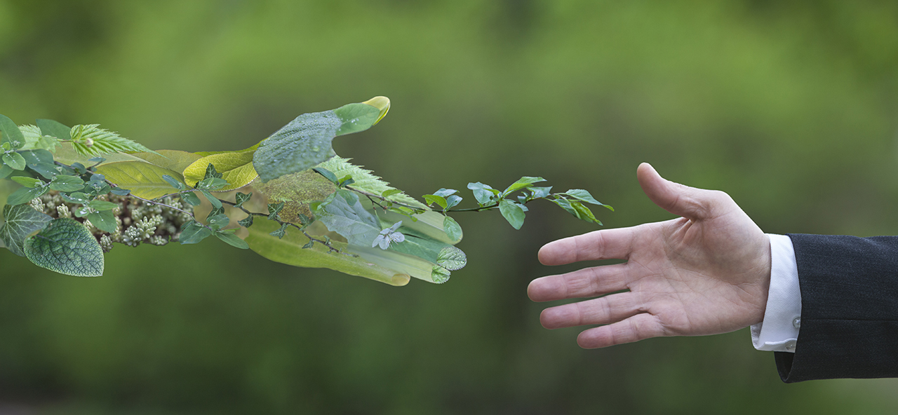 How to Overcome Climate Anxiety